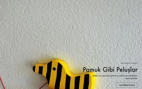 Neşe · Hero banner